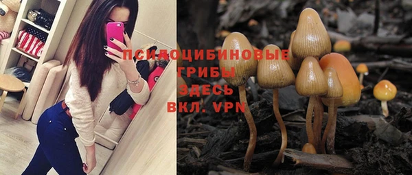 тгк Володарск