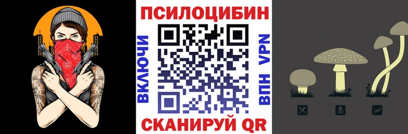 Псилоцибиновые грибы мухоморы  блэк спрут как зайти  Павловская 